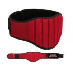 Professional Fitness Belt for Back Protection and Heavy Lifting