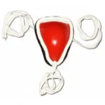 Traditional Muay Thai Steel Groin Guard Classic Lace-Up Combat Cup