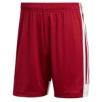 Mens Sports Gym Shorts Breathable and Flexible